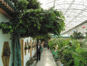 生態餐廳