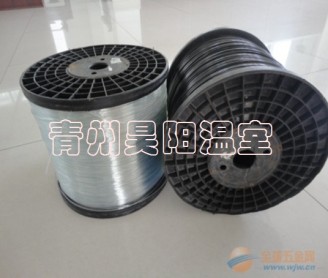 Curtain Line