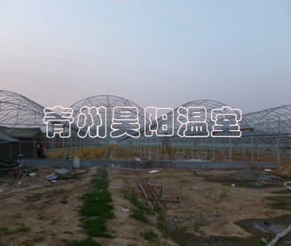 Intelligent multi-span greenhouse