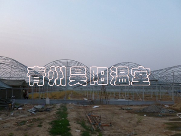 Intelligent multi-span greenhouse