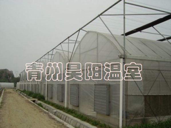 Intelligent multi-span greenhouse